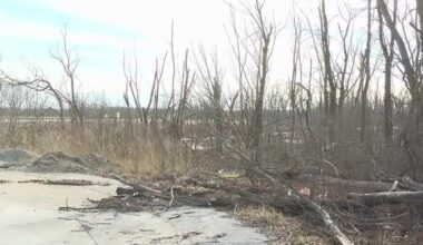 Environmental groups to protest for wildlife at Milan Bottoms