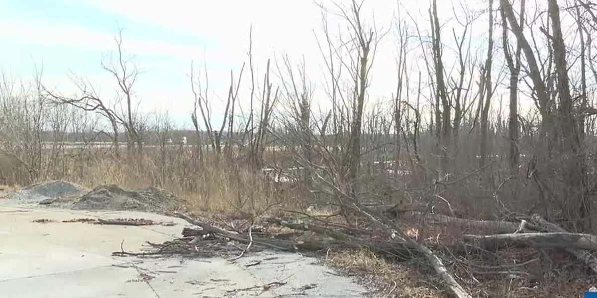 Environmental groups to protest for wildlife at Milan Bottoms