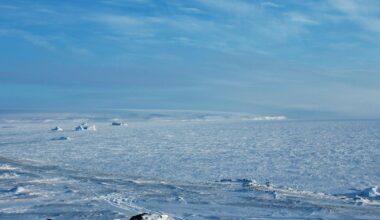 The Trump led US is seeking to create an Arctic partnership with Russia and joint exploration of Arctic natural resources. It's one of the points the Trump & Putin regimes touched on during the faux Ukraine "peace negotiations"