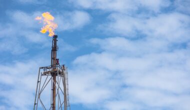 Fugro restarts hydrocarbon and LNG projects in US after Trump’s election