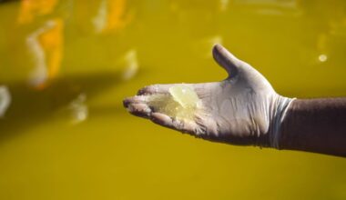 Critical minerals processing will be the equivalent of 19th-century oil refineries—at a Rockefeller moment