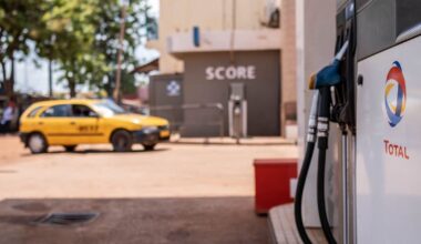 Netherlands starts inquiry into Mozambique gas plant massacre – POLITICO