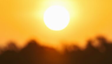 AI innovation isn't a climate threat, it's our best hope