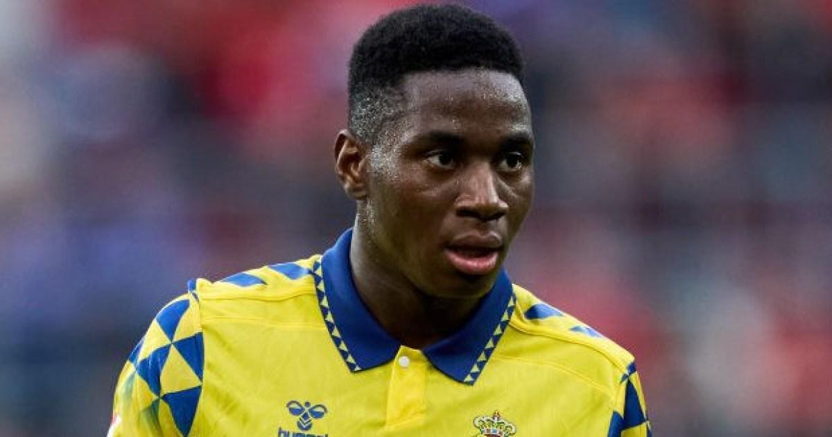 New £18m Chelsea signing Dario Essugo axed from Portugal squad for England game | Football