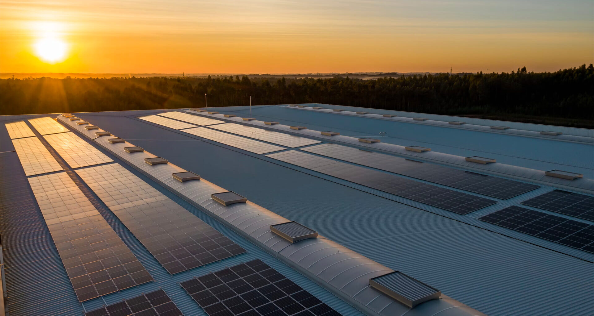 Will Trump Pump the Brakes on Greentech?