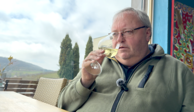The strong influence of wood on the taste of wine