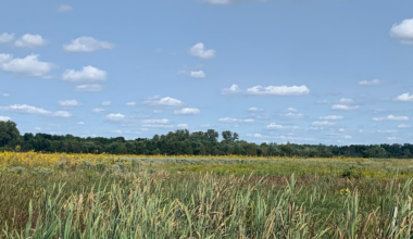 Gov. Braun signs environmental protection orders, taking aim at additional state regulations