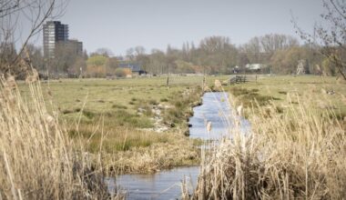 Aanmelding Leidse Oostvlietpolder voor Natuurnetwerk Nederland komt dichterbij