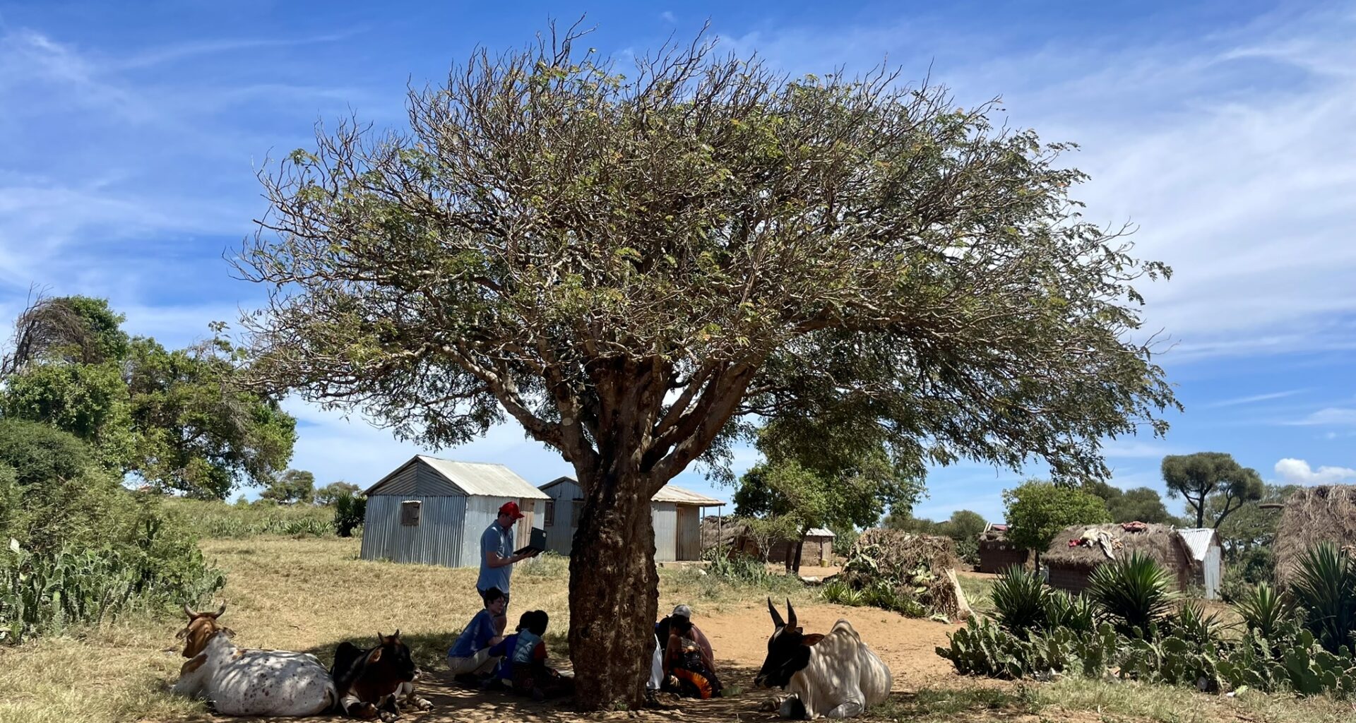 Climate change fuelling mental health crisis in areas most affected by climate crisis - News & Events