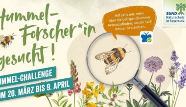 Hummelchallenge