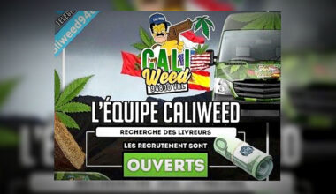 Trafic de drogue en Île-de-France : le livreur de « Caliweed 94 800 » arrêté à sa descente d’avion