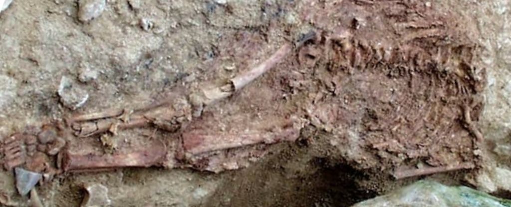 Mysterious Twist Revealed in Saga of Human-Neanderthal Hybrid Child : ScienceAlert
