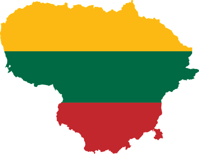 „Kariniai veiksmai Lietuvoje. 24 valandas per parą. Žmonės turi apsirūpinti patys“ :: Lietuva :: www.technologijos.lt