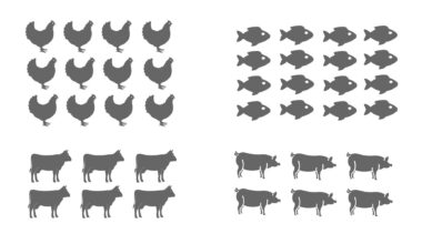 How many animals are factory-farmed?