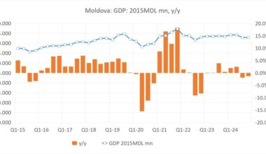 bne IntelliNews - Moldova’s GDP close to a standstill in 2024 due to weak agriculture
