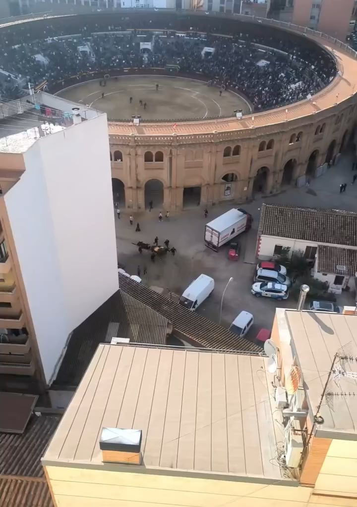 Footage that I took during “Corrida de toros”
