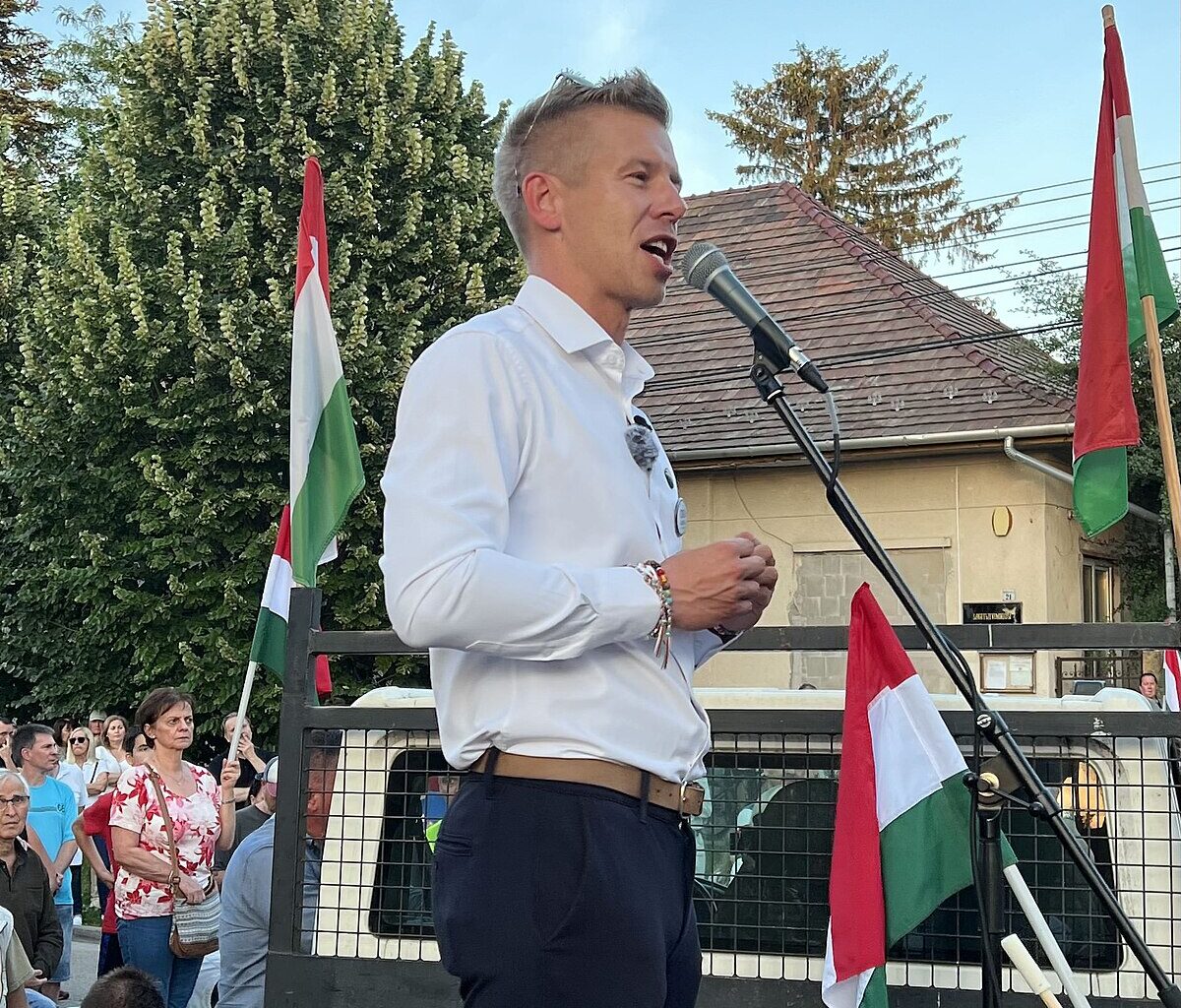 What Do Hungarians Think About the World Right Now?