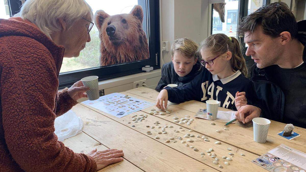 Minstens 70.000 schelpen geteld in Nederland bij Schelpenteldag