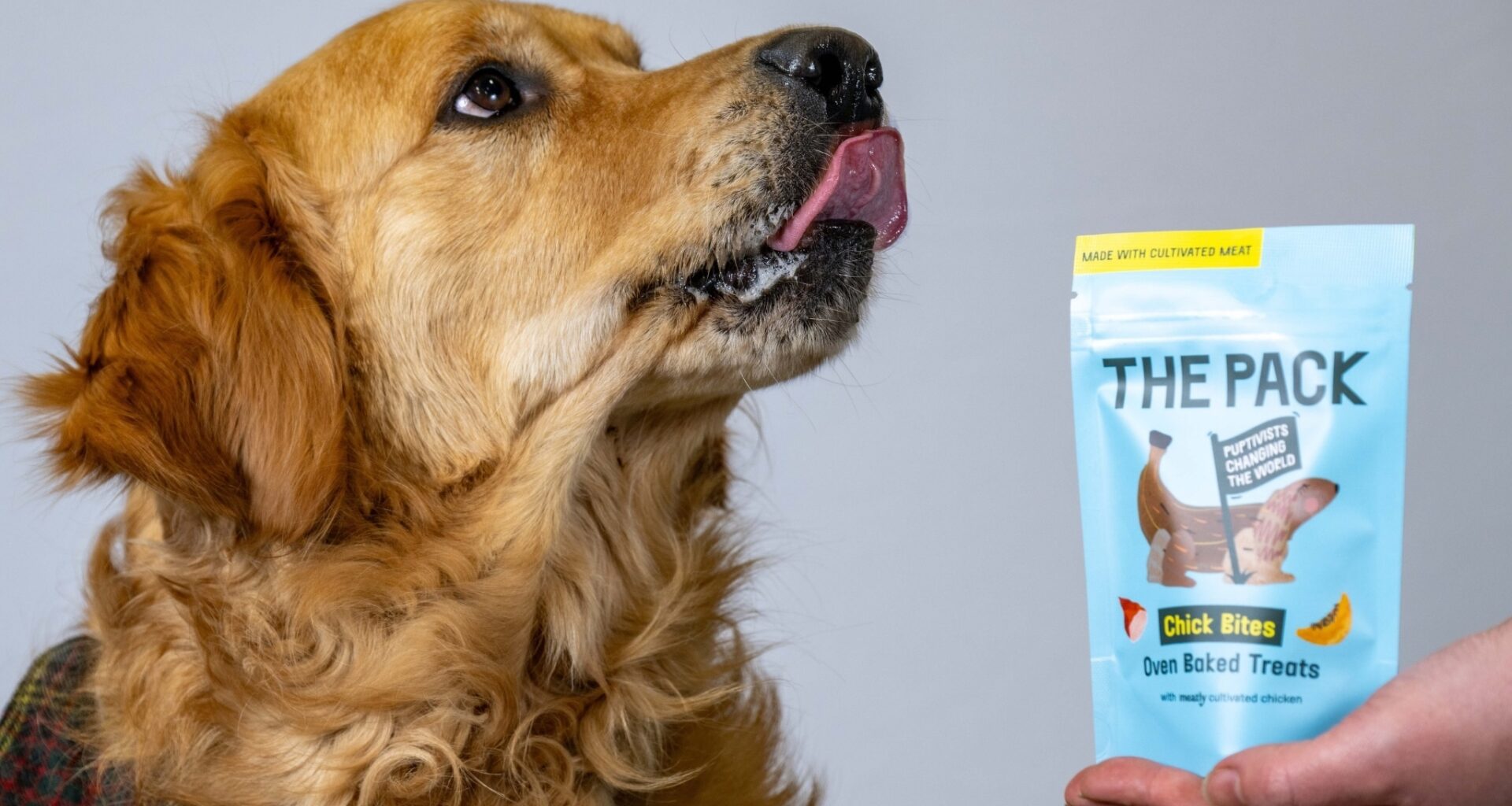 Labor-Hundefutter erobert Großbritannien: Kommt es auch bald nach Deutschland?