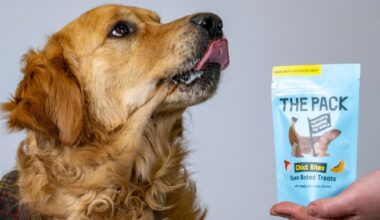 Labor-Hundefutter erobert Großbritannien: Kommt es auch bald nach Deutschland?