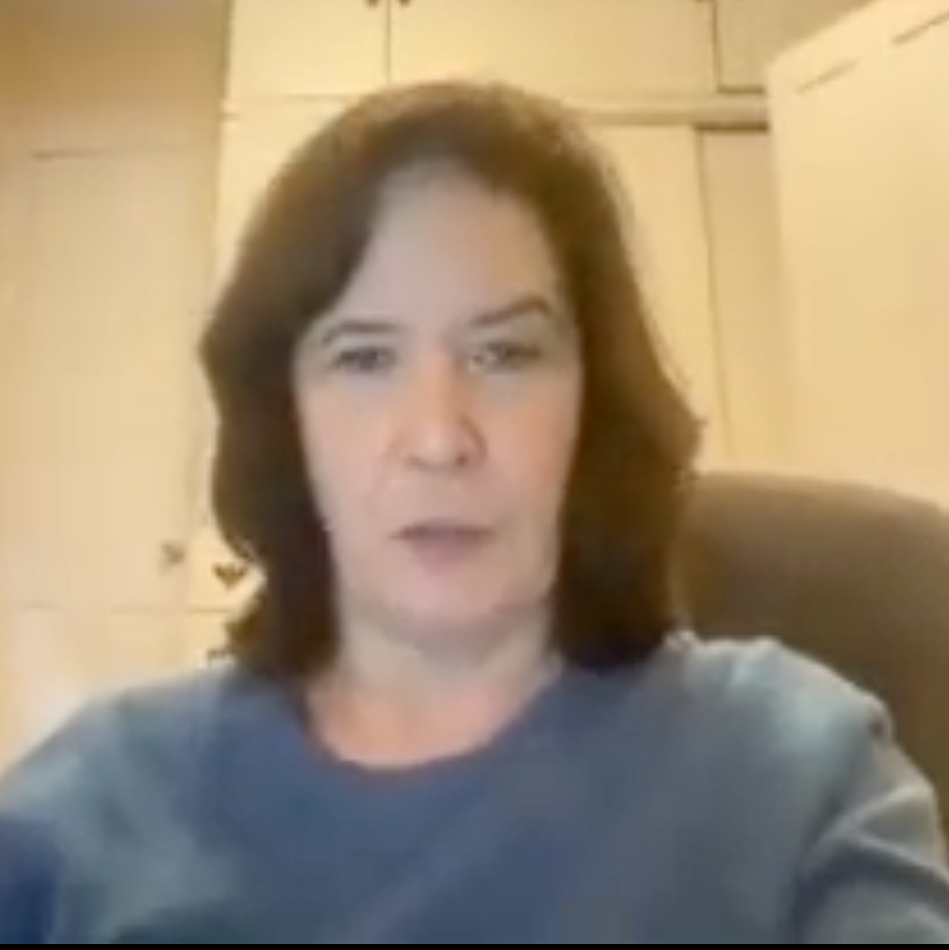 Meg Welch speaking on zoom