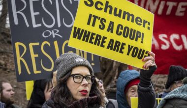 What Did You Do in the Anti-Trump War, Daddy and Mama?