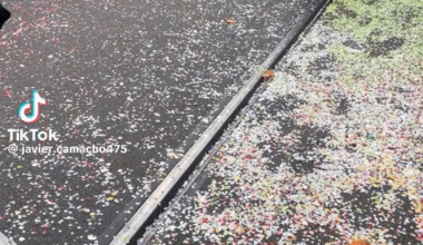 Name a president more hated by the WORLD. How on earth do you upset Switzerland????