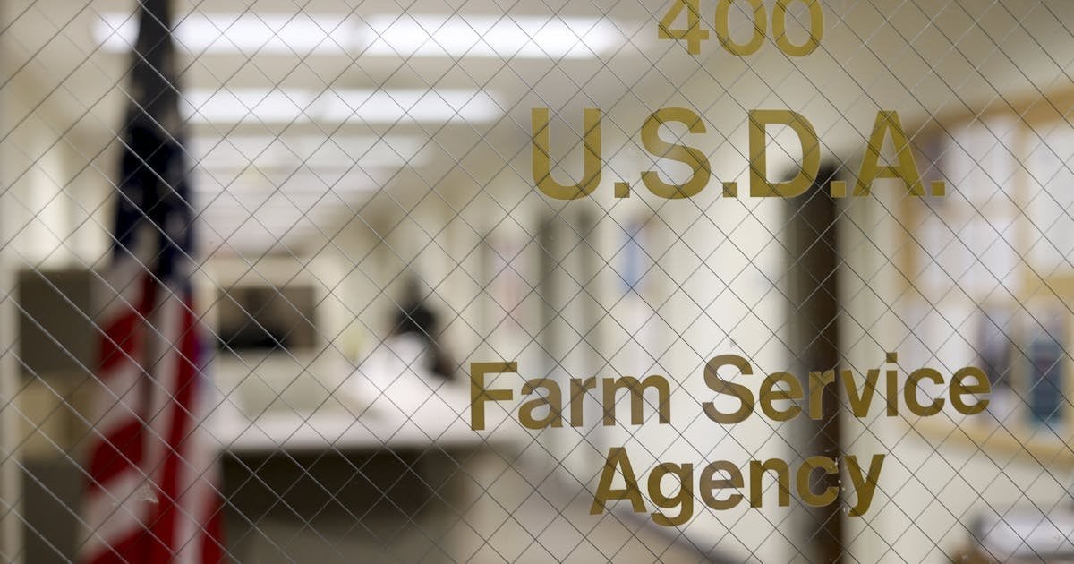 Trump’s Sticker Shocks Are About to Hit the Produce Aisle