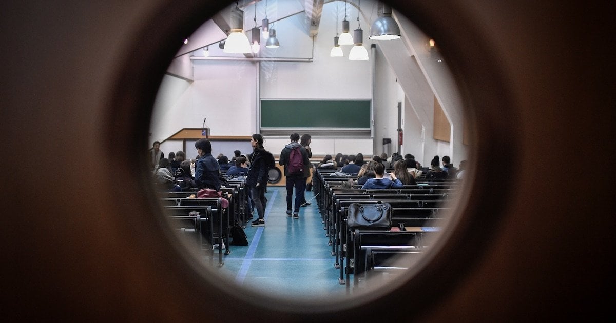 A Paris, les dérives d’une école privée de psychologie : enquête sur la Sigmund Freud University