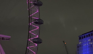 Anyone know what these lights are?