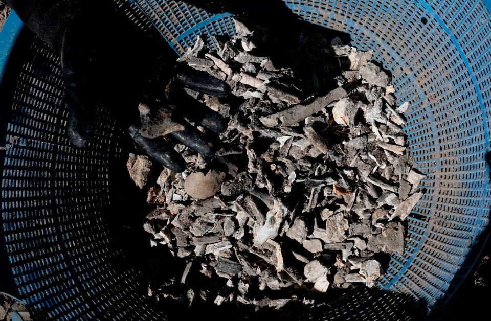 Cremated human remains being sifted in a blue sieve.