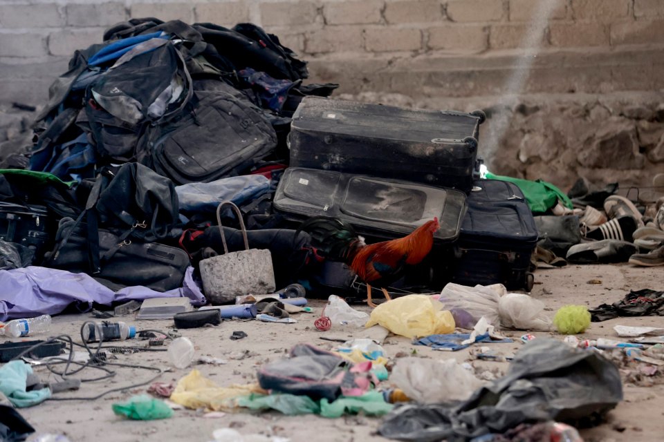 Rooster amidst discarded luggage and belongings at a clandestine crematorium site in Jalisco, Mexico.