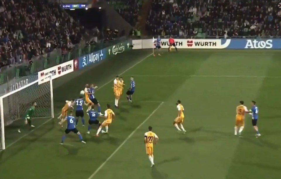 Soccer game, players near goal.