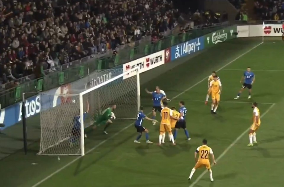 Soccer game, a goal being scored.