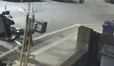 So this just happened to our new street tree…