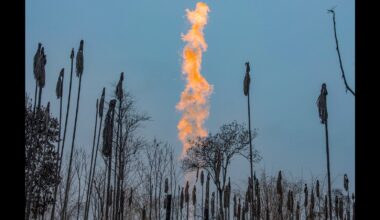 Why crude prices could be immune to Trump upheaval