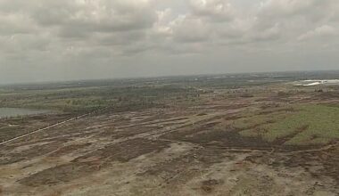 Environmental impact of 344 Fire yet to be assessed – NBC 6 South Florida