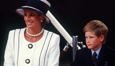 Is Prince Harry Planning a Docuseries About Princess Diana?
