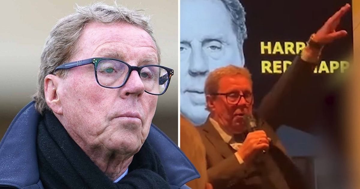 Harry Redknapp 'makes Nazi-style salute' and calls new England manager Thomas Tuchel 'German spy'
