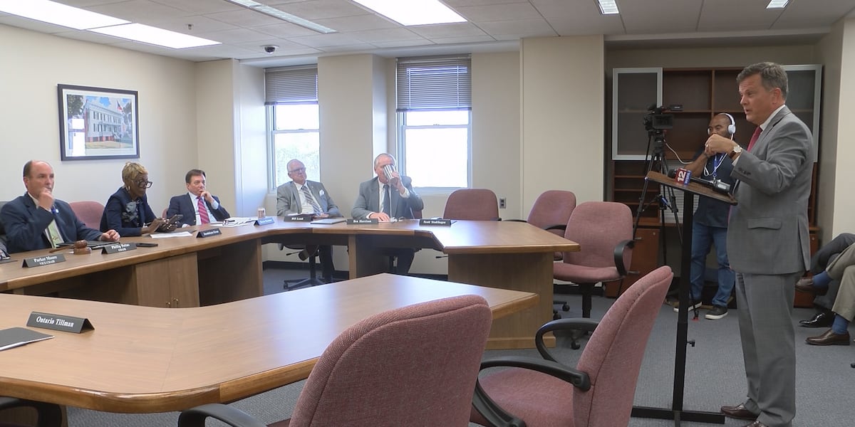 Alabama house committee hears testimony from commission focused on government efficiency