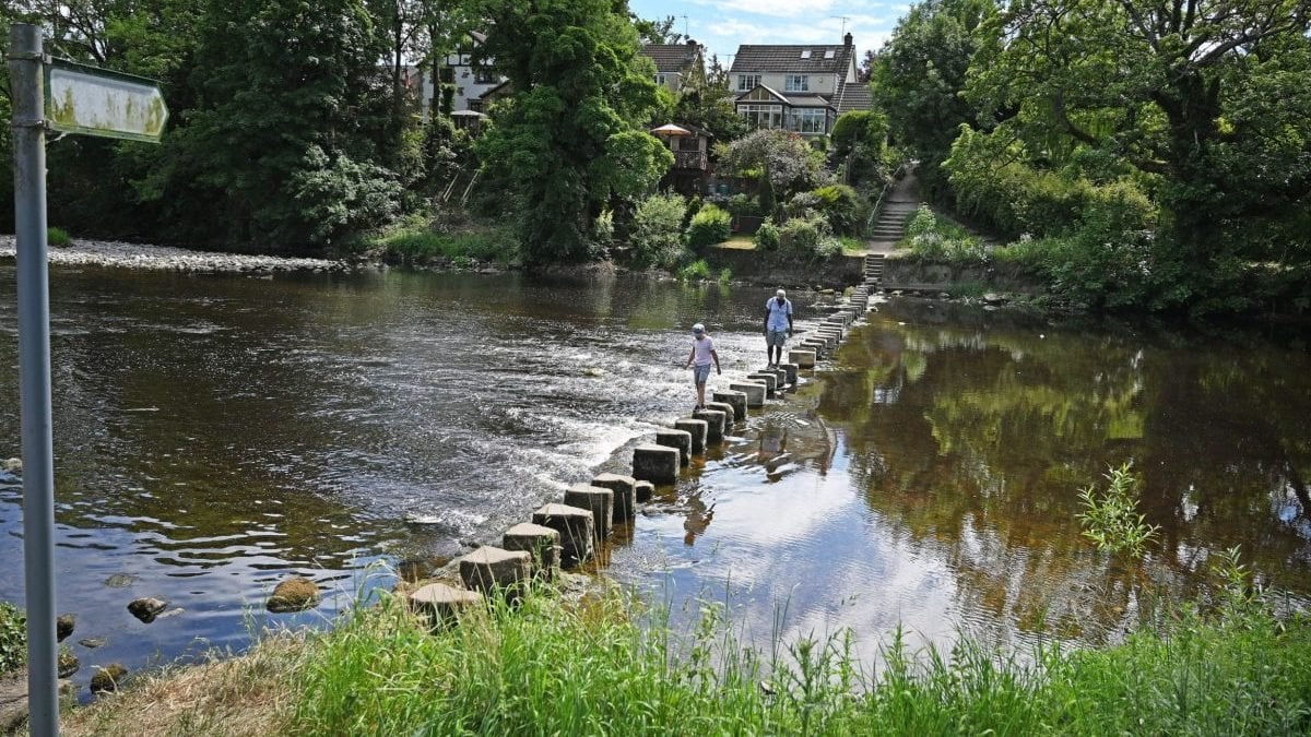 Human and animal waste detected in England's iconic river bathing spots