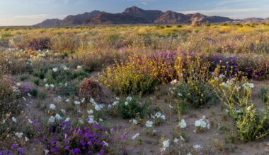 Trump White House says he will eliminate two national monuments in California, then deletes the announcement