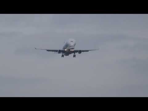 Airbus A330 Beluga XL F-GXLG lands at Brychdyn/Broughton airport Sir Y Fflint/Flintshire