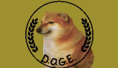 A DOGE staffer broke Treasury policy by emailing unencrypted personal data