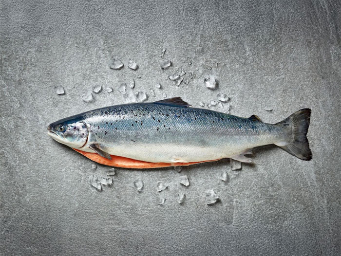 Kaldvik AS Completes the Acquisition of Key Assets in the Fish Farming Value Chain on the East-Coast of Iceland