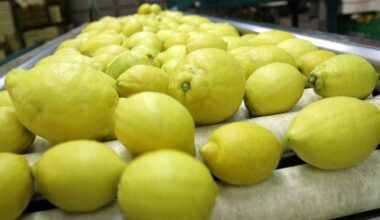 Lemons from Portugal closer to accessing Brazil