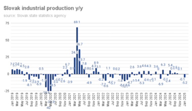 bne IntelliNews - Slovak industry falls by a disappointing 5.2% y/y in January