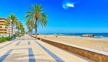 Spain’s Beaches Are Overrun by Jellyfish