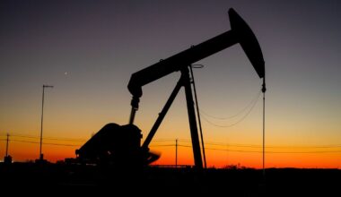 Fixed quota of US oil imports on cards as govt gears for trade pact negotiations