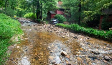 CT leaders need to protect our environment